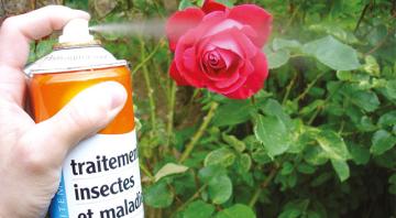 Visuel Airparif Actualité n°29